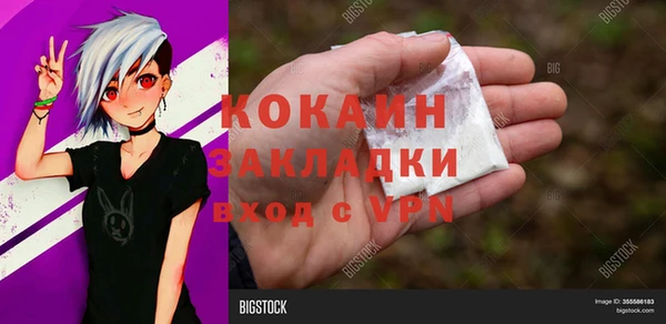 ECSTASY Гусь-Хрустальный