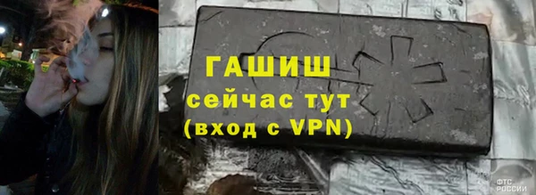 ECSTASY Гусь-Хрустальный
