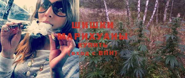 ECSTASY Гусь-Хрустальный