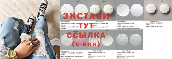 ECSTASY Гусь-Хрустальный