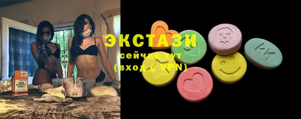 ECSTASY Гусь-Хрустальный