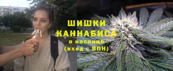ECSTASY Гусь-Хрустальный