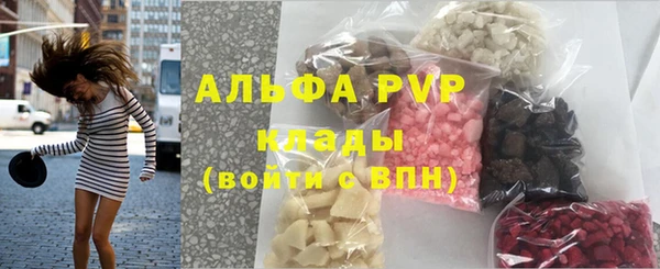 ECSTASY Гусь-Хрустальный