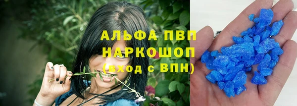 ECSTASY Гусь-Хрустальный
